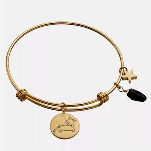 City By City Leo Horoscope Yellow Gold Plated Bangle Bracelet CZ & Genuine Stone